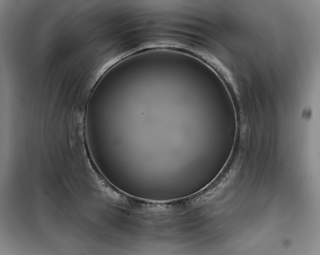 X0000100380945200806061215