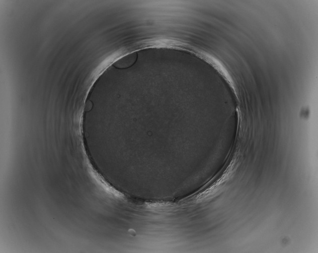 X0000100380946200806061215