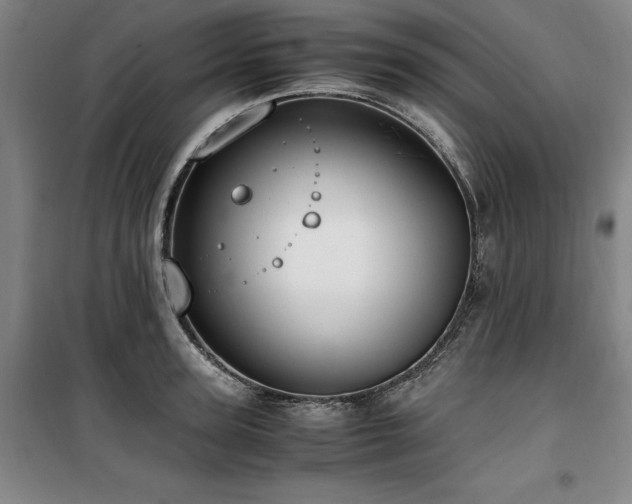 X0000100380947200806061215