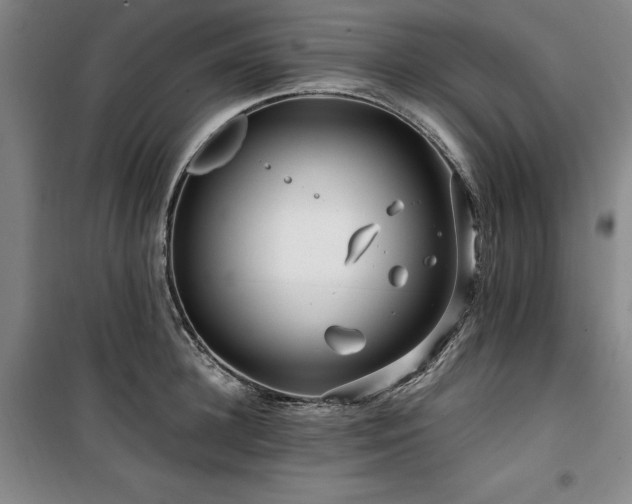 X0000100380948200806061215