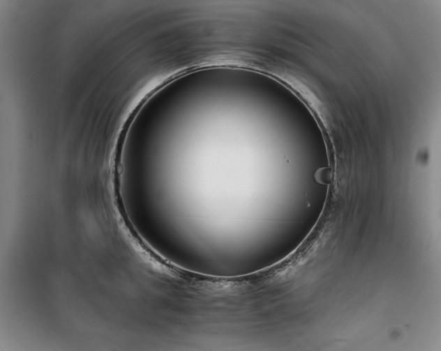 X0000100380949200806061215