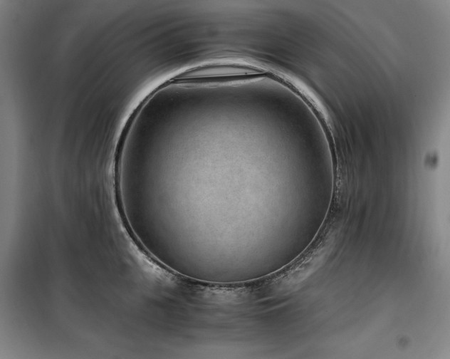X0000100380951200806061215