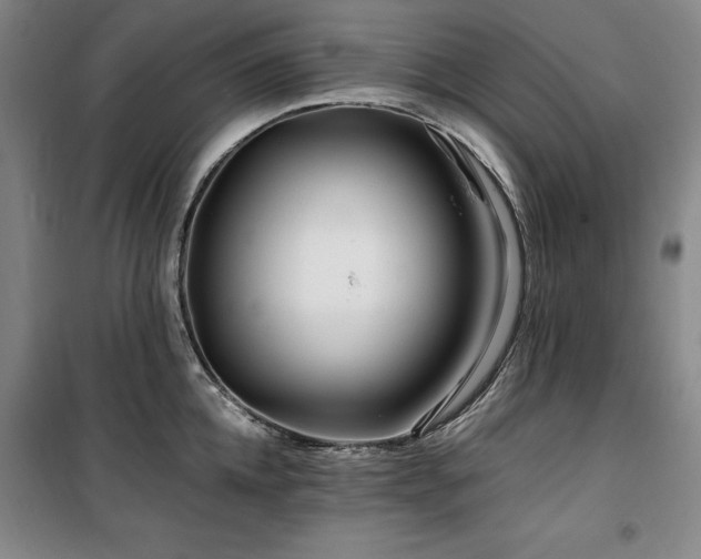 X0000100380952200806061215