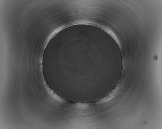 X0000100380954200806061215