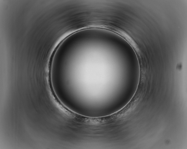 X0000100380955200806061215