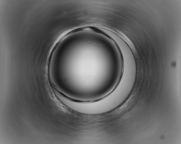X0000100380956200806061215