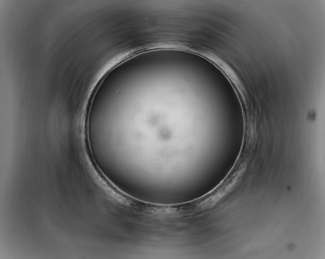 X0000100380957200806061215