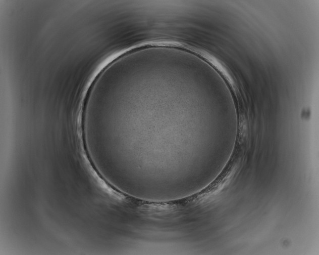 X0000100380959200806061215