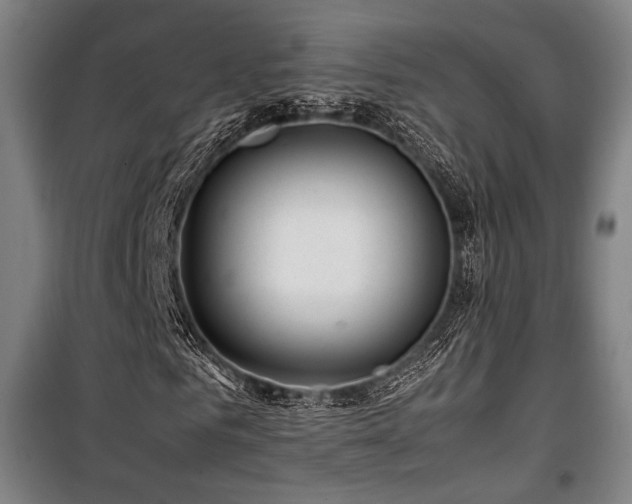 X0000100380961200806061215