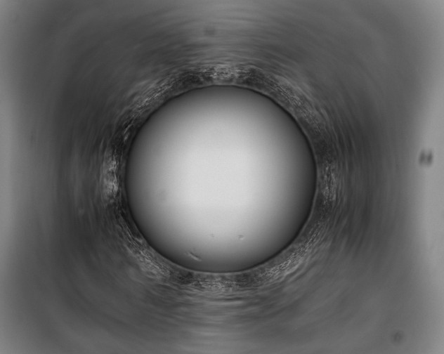 X0000100380962200806061215