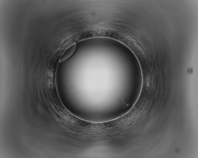 X0000100380964200806061215