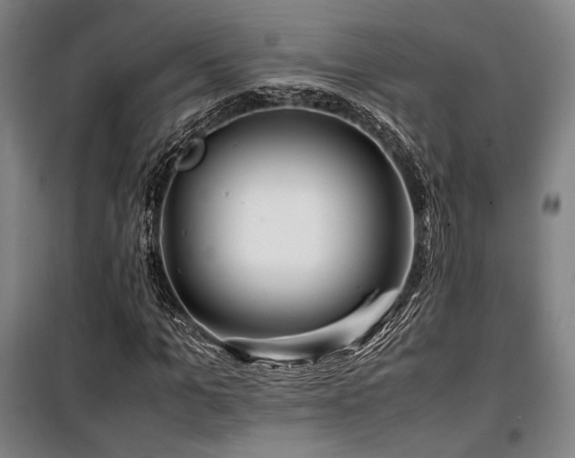 X0000100380965200806061215