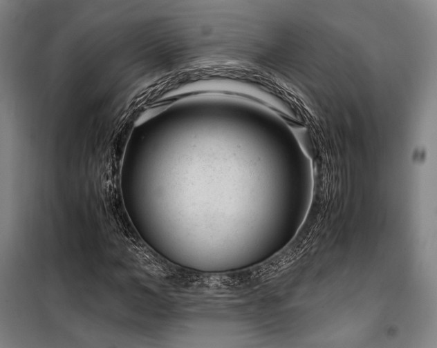 X0000100380966200806061215