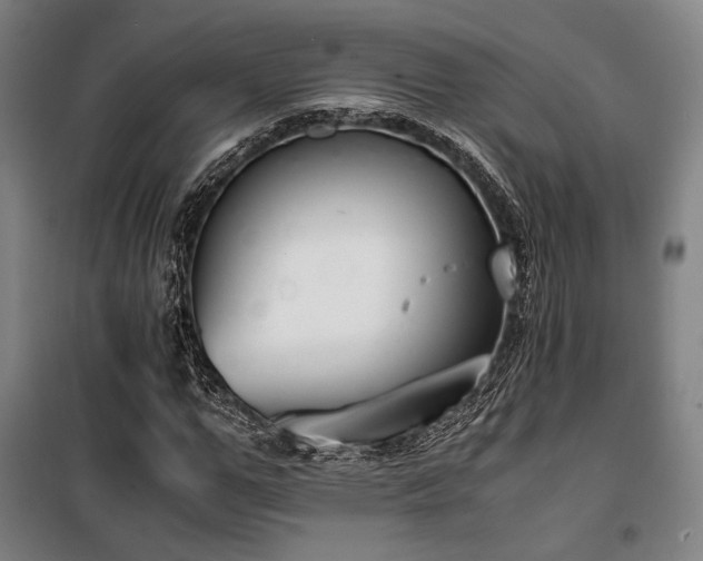 X0000100380967200806061215