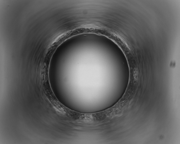 X0000100380968200806061215