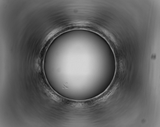 X0000100380970200806061215