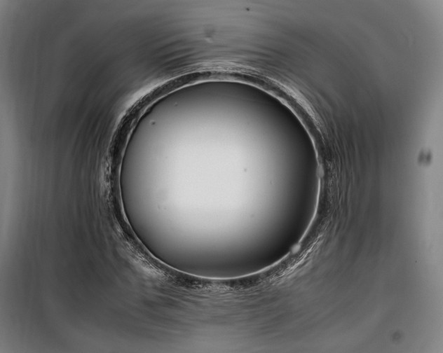 X0000100380971200806061215