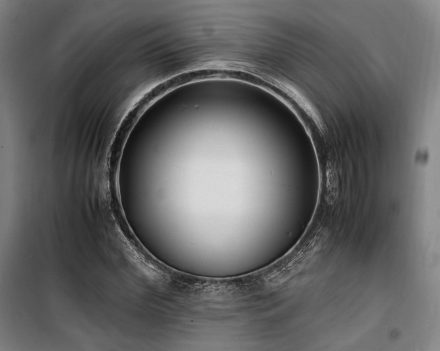 X0000100380972200806061215