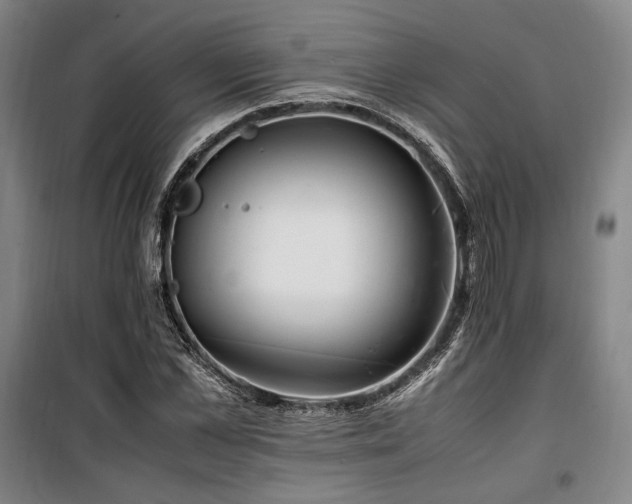X0000100380973200806061215