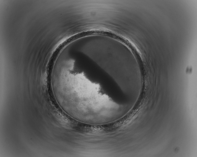 X0000100380975200806061215