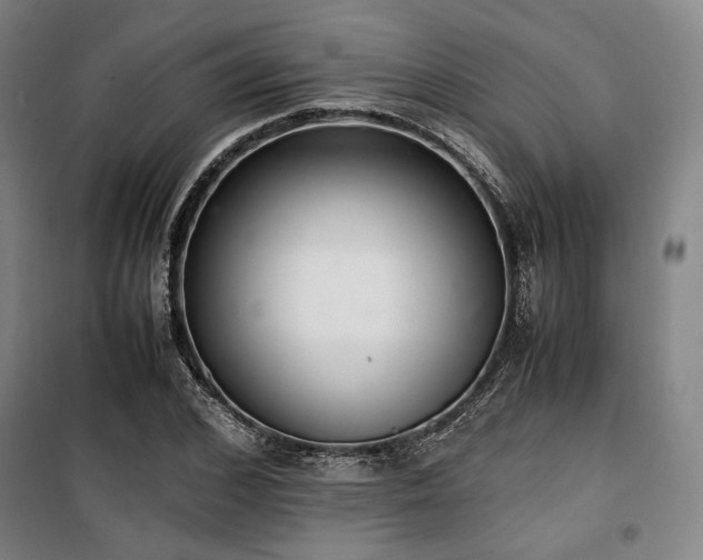 X0000100380976200806061215