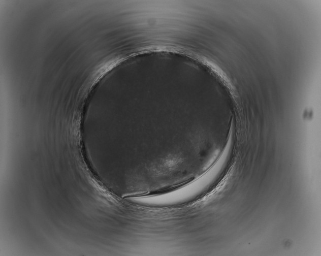 X0000100380977200806061214