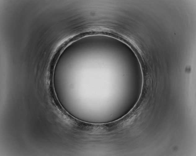 X0000100380979200806061214