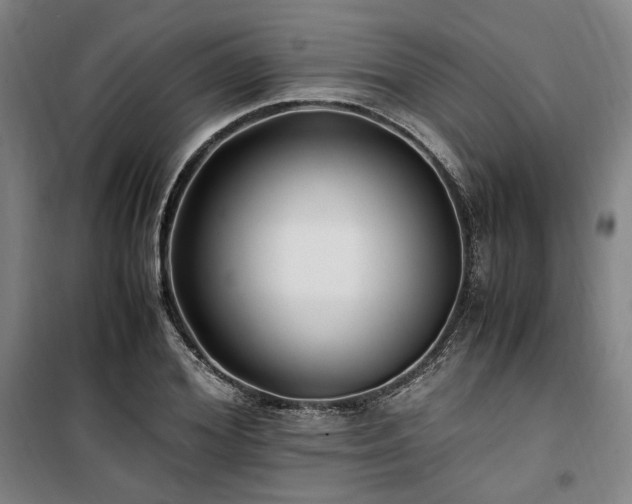 X0000100380980200806061214