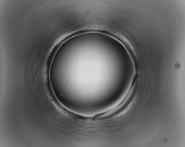 X0000100380981200806061214