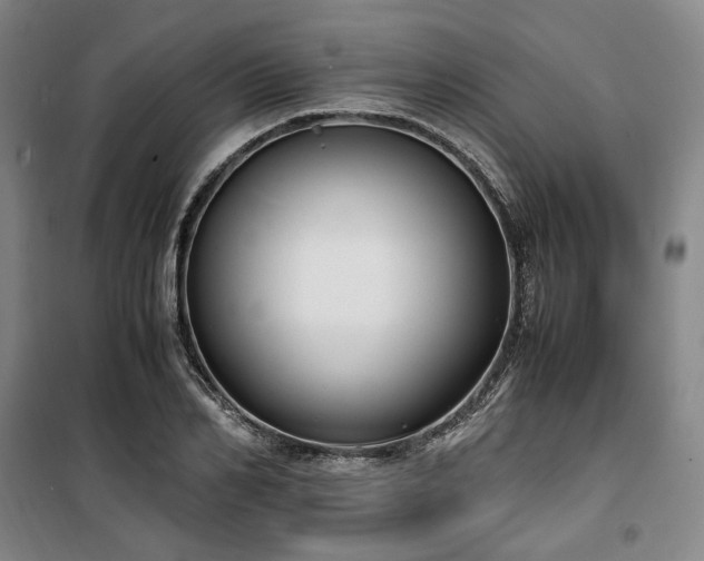 X0000100380982200806061214