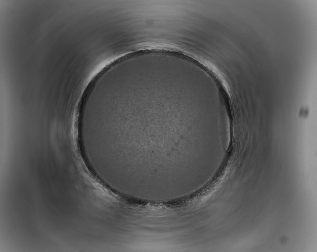 X0000100380983200806061214