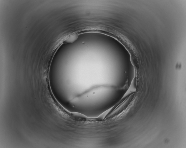 X0000100380985200806061214