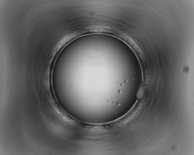 X0000100380986200806061214