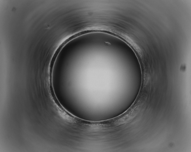 X0000100380988200806061214