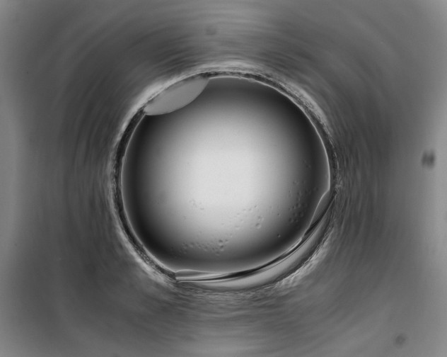 X0000100380989200806061214