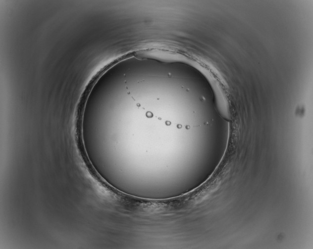X0000100380991200806061214