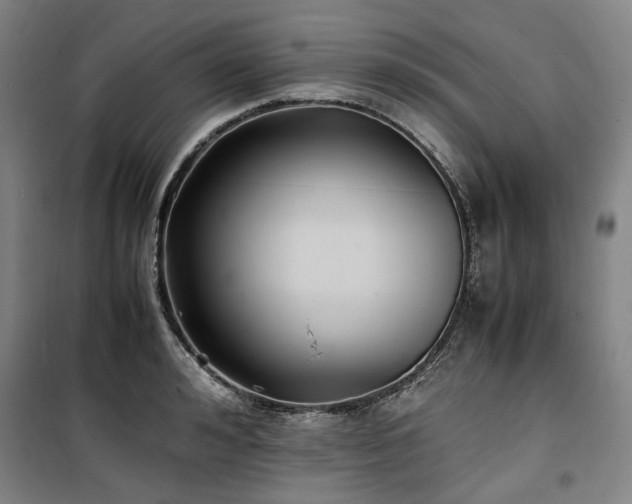 X0000100380992200806061214