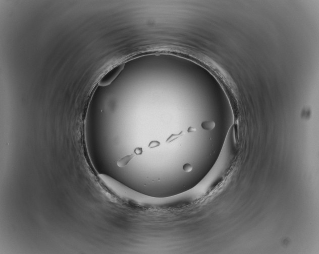 X0000100380993200806061214