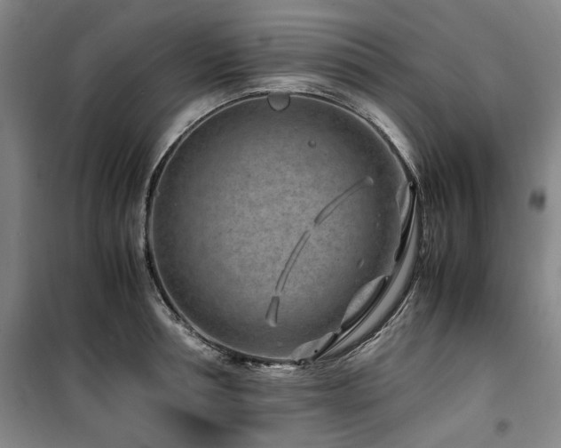 X0000100380994200806061214