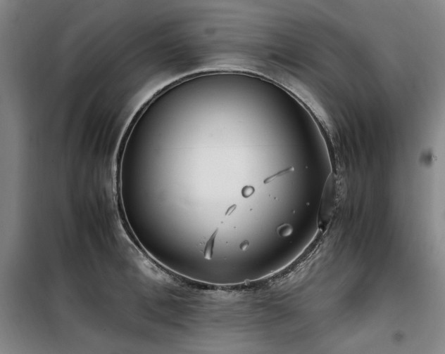 X0000100380996200806061214