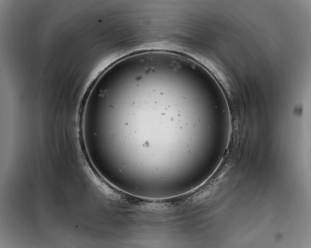X0000100380998200806061214