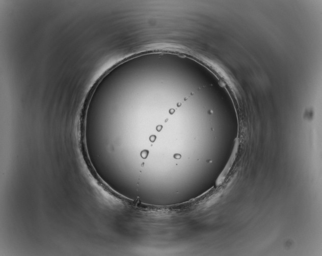 X0000100380999200806061214
