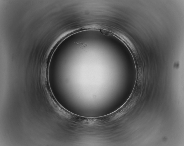 X0000100381000200806061214