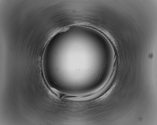 X0000100381001200806061214