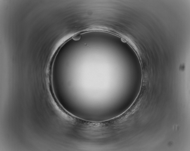X0000100381003200806061214