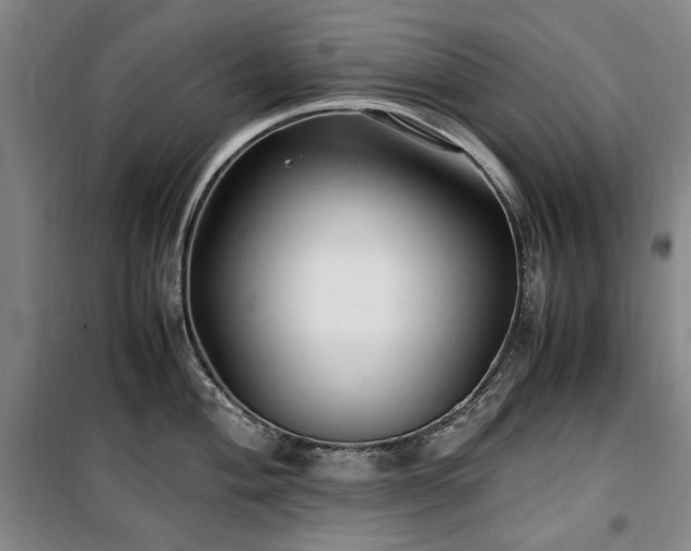 X0000100381004200806061214