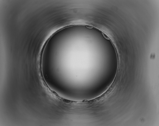 X0000100381008200806061214