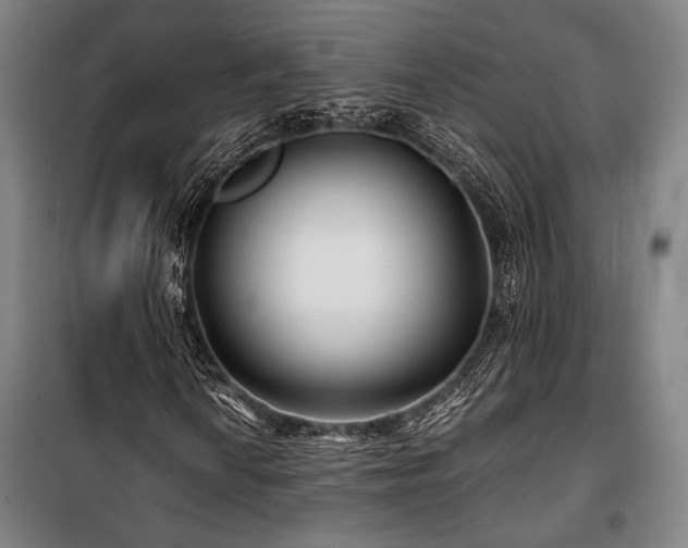 X0000100381010200806061213