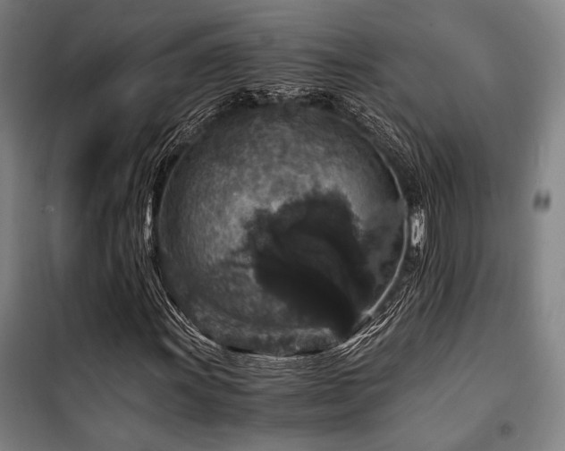 X0000100381011200806061213