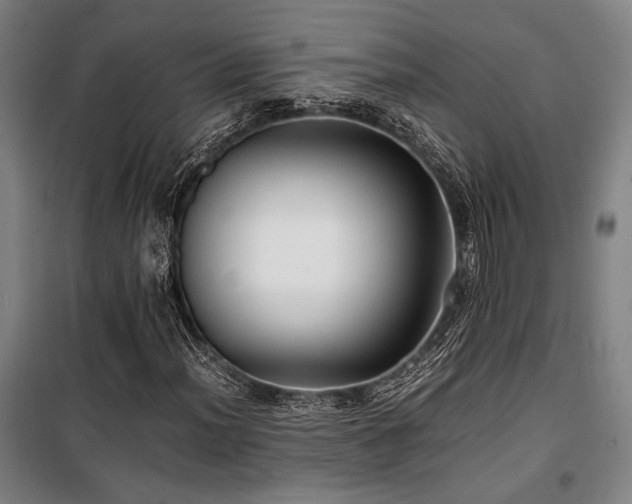 X0000100381012200806061213